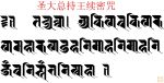 Thánh Đại Tổng Trì Vương Tục Mật Chú: Tadyathā: Akiṇe vakiṇe kaṇe mahā-kaṇe dahani mohani mohani jaṃbani (?jaṃbhani) ṣtaṃbhani (?staṃbhani) svāhā