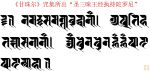 13_Thánh Tam Muội Vương Kinh Chấp Trì Đà La Ni: Namaḥ samanta buddhānāṃ apratihataśāsanānāṃ_ Oṃ _ dhuna dhuna hūṃ hūṃ phaṭ phaṭ svāhā [Đà La Ni này được trích ra từ Cam Châu Nhĩ Chú Tập]